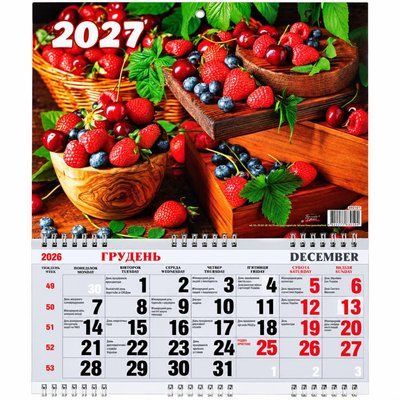 Календар настінний на 3 пружинах 2027 з ягодами 2804747643 фото