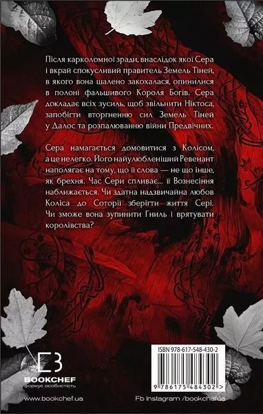 Плоть і вогонь Книга ІІІ Вогонь у плоті - Дженніфер Л. Арментраут 9786175484302 фото